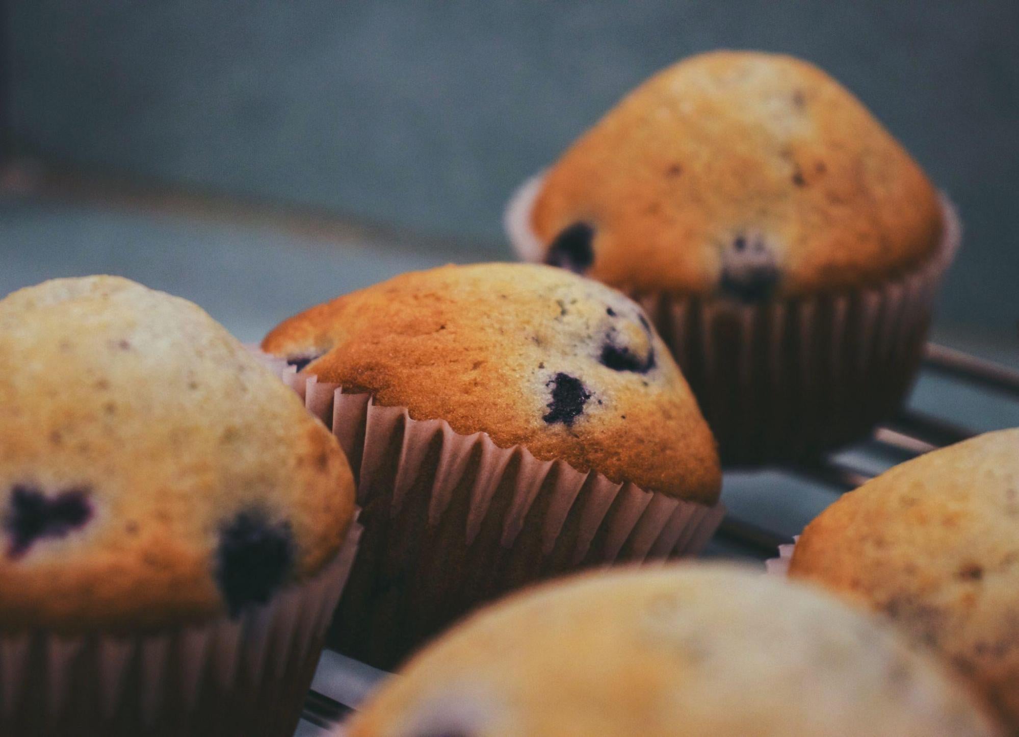 group of protein muffins