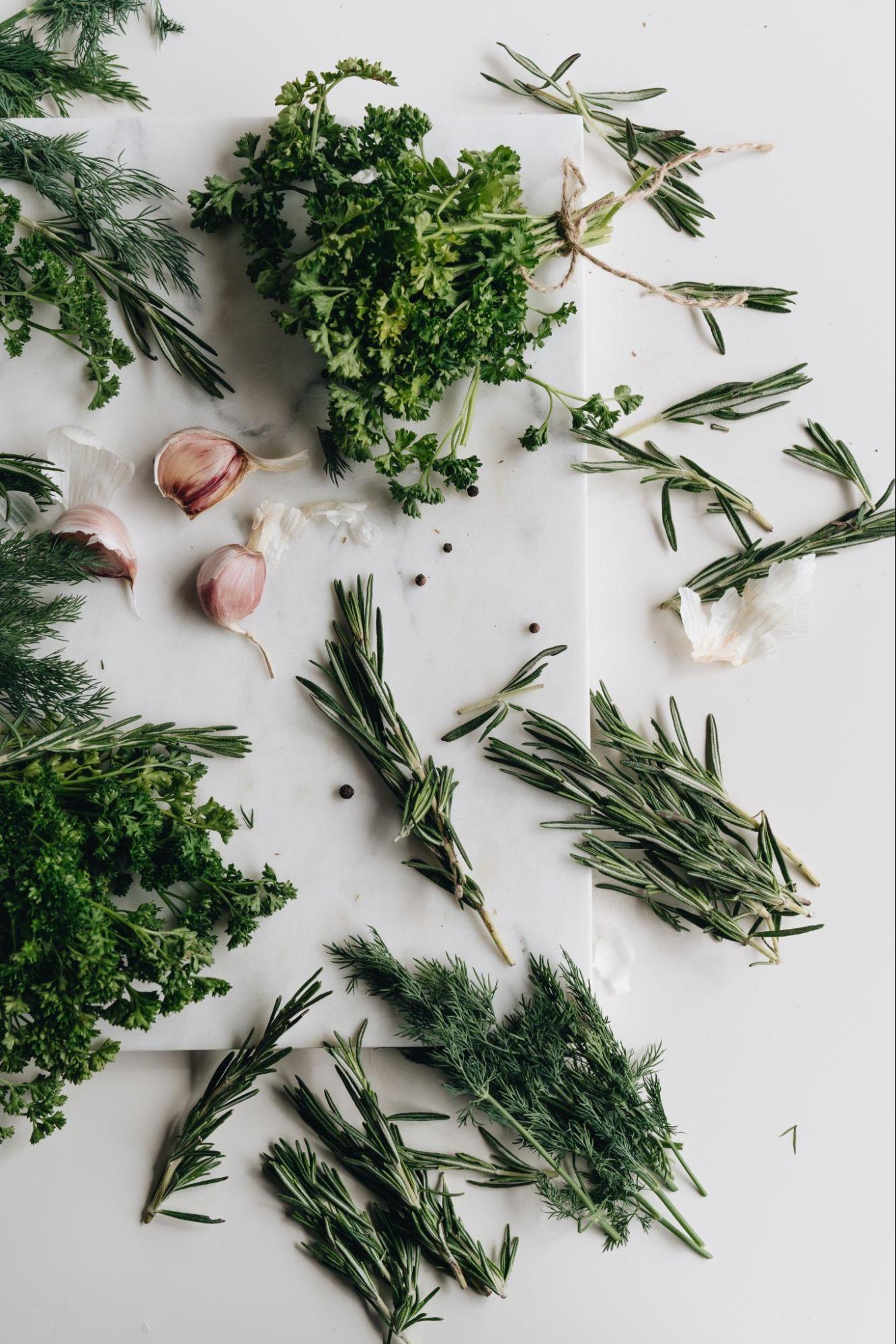 photo of different green herbs
