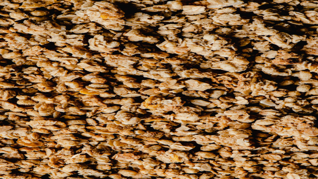 protein granola